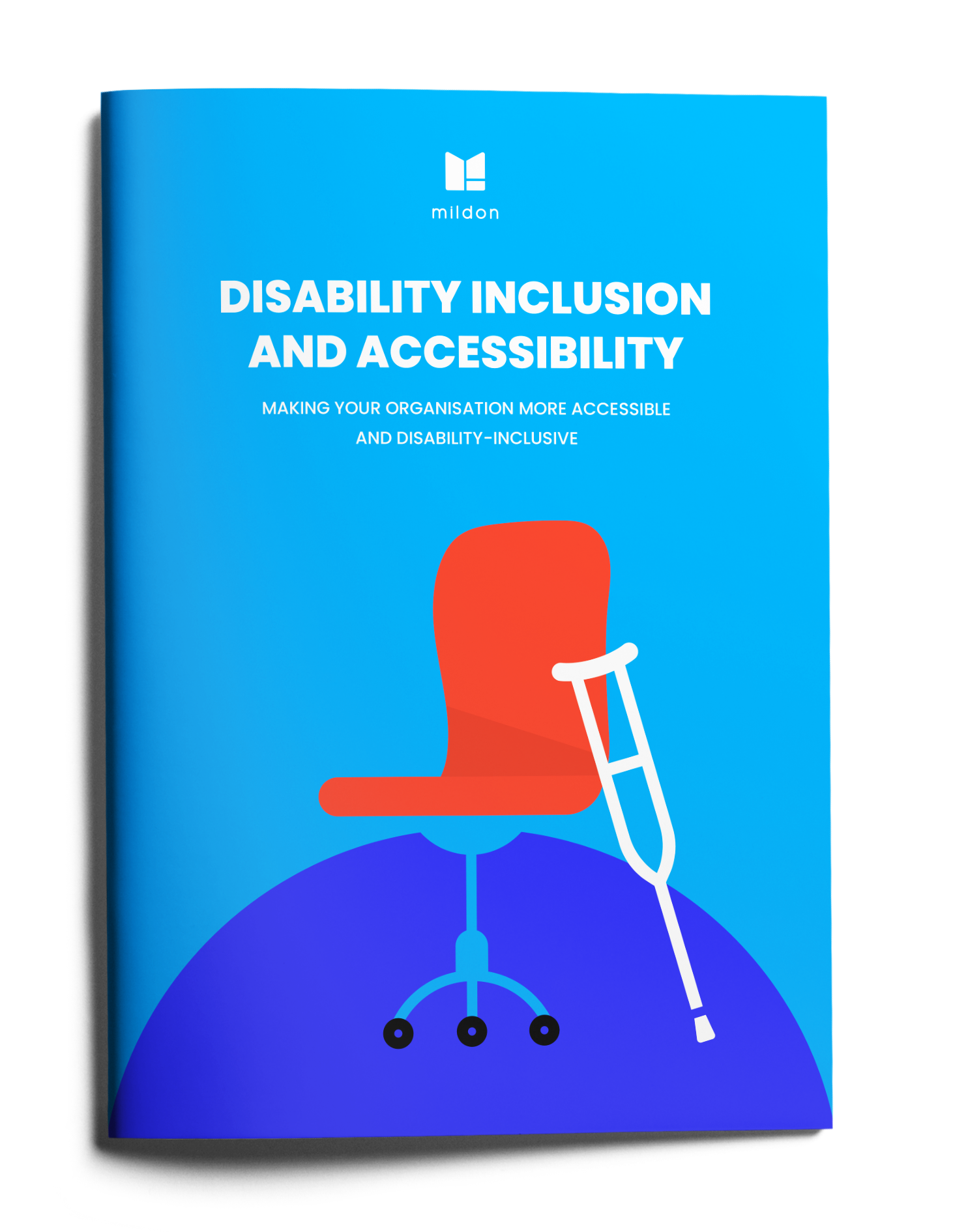 Disability Inclusion and Accessibility