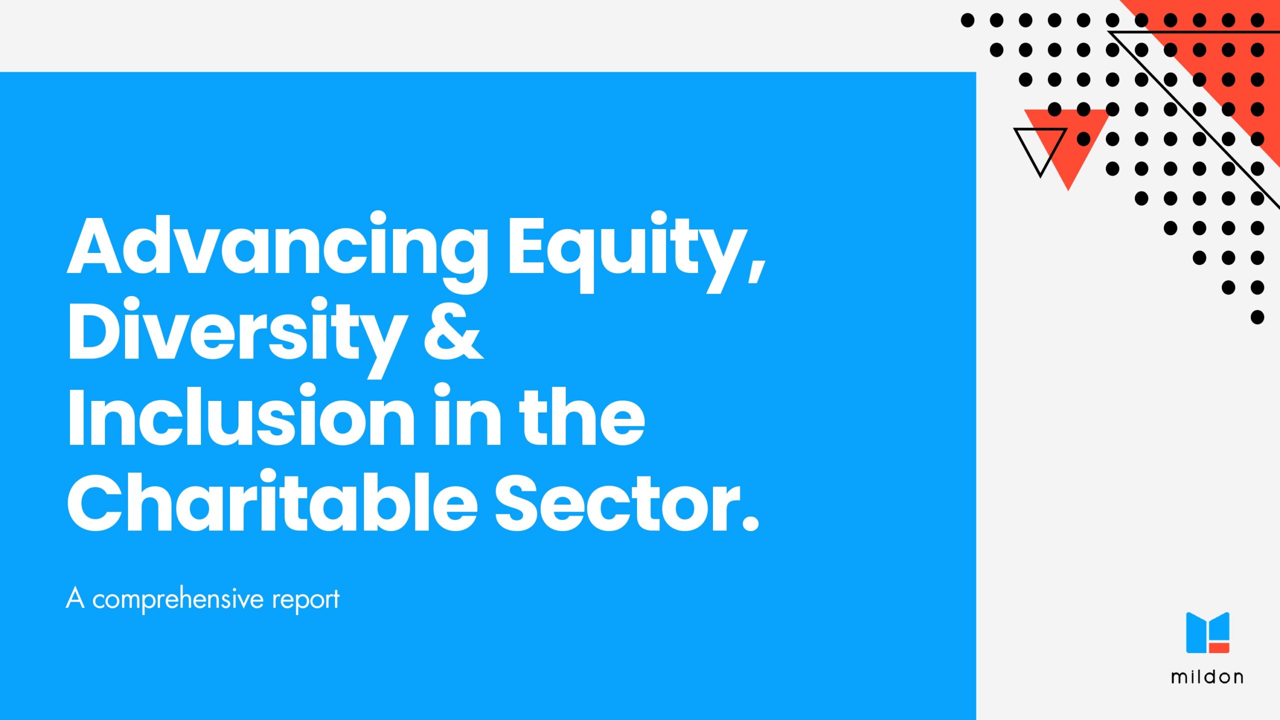 EDI in the Charitable Sector: Practical Report for Charity Leaders